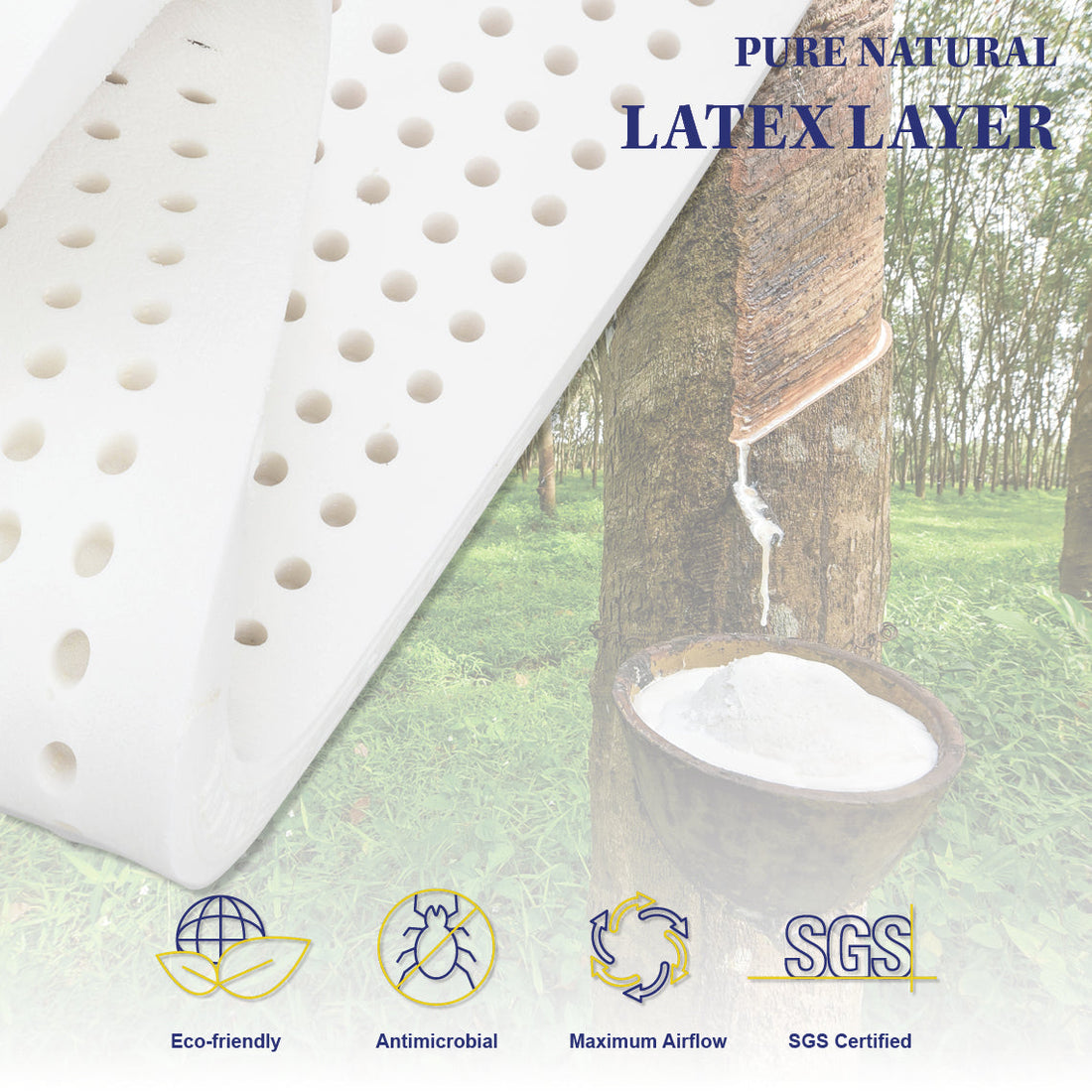 Single Size Mattress Latex Foam 7 Zone Pocket Spring